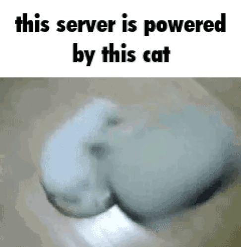 Parked Domain GIF